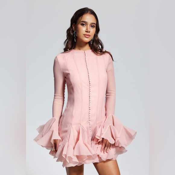McCarthy Mesh Ruffle
Mini Dress In Pink. Size: Small - Picture 4 of 5